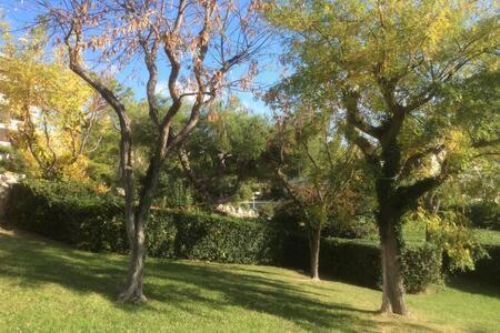 Cassis 4Pers Vue Mer Wifi Tennis Parking Piscine Экстерьер фото